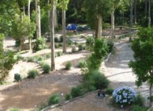 Best campsite near Sydney