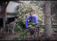 Parrots and Kangaroos aplenty!